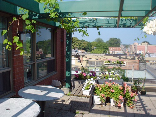 Rooftop terrace has patio tables, green metal girders overhead, and flowers in planters on concrete-brick decking