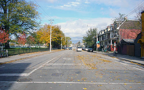 Four-lane street has a park on left side and is lined with trees in autumn colours